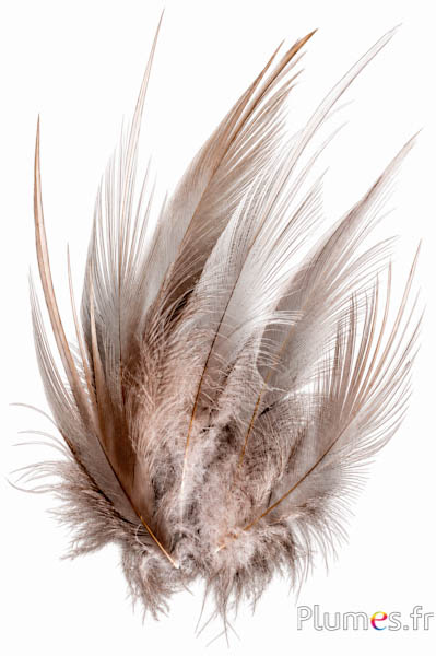 Kraanvogel - 15-20 cm - natuurlijk grijs